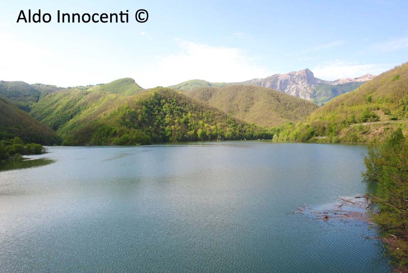 LAGO DI VAGLI: LAGO 8' IMMAGINE